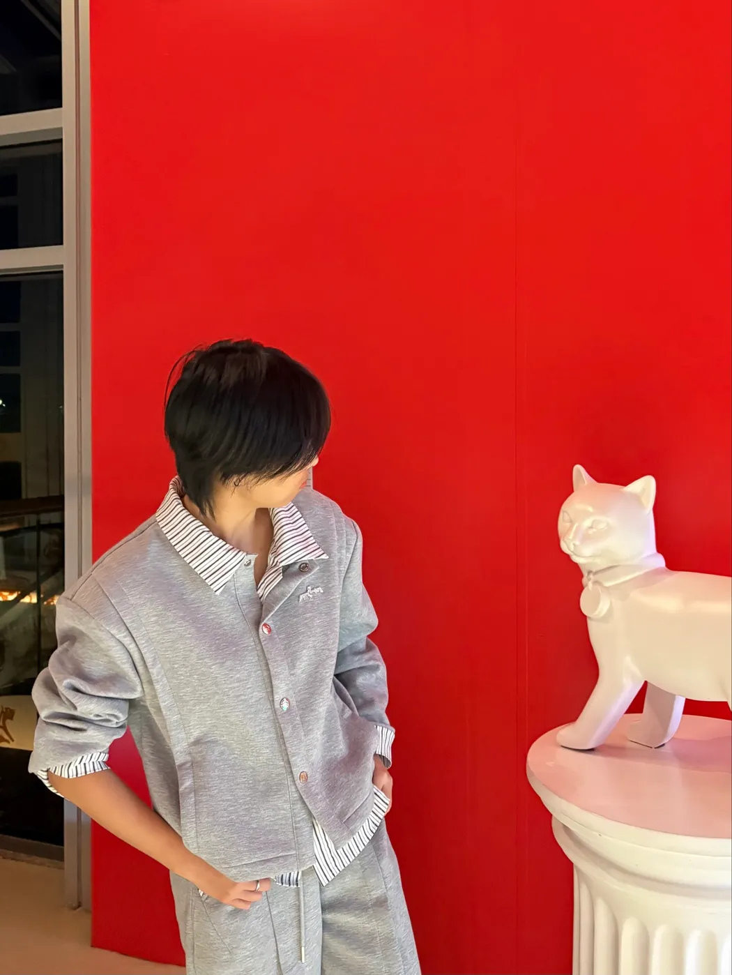 多乐与红色背景和白猫雕塑的照片